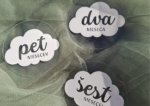 Set mesečnih mejnikov - oblaček - slika 4